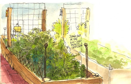 CommunityGarden_20120210